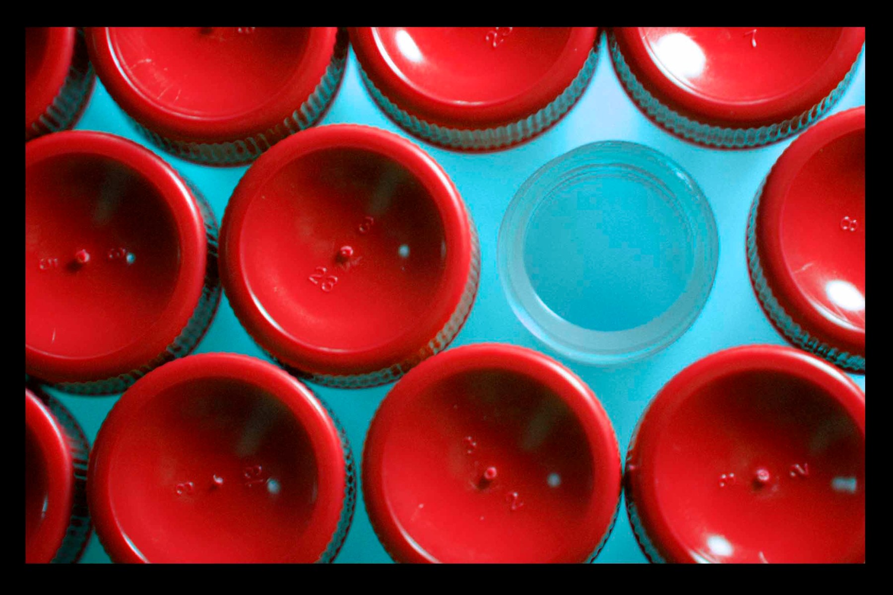 cross-cultural leadership