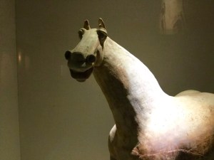 Ningxia museum Tang Dynasty horse