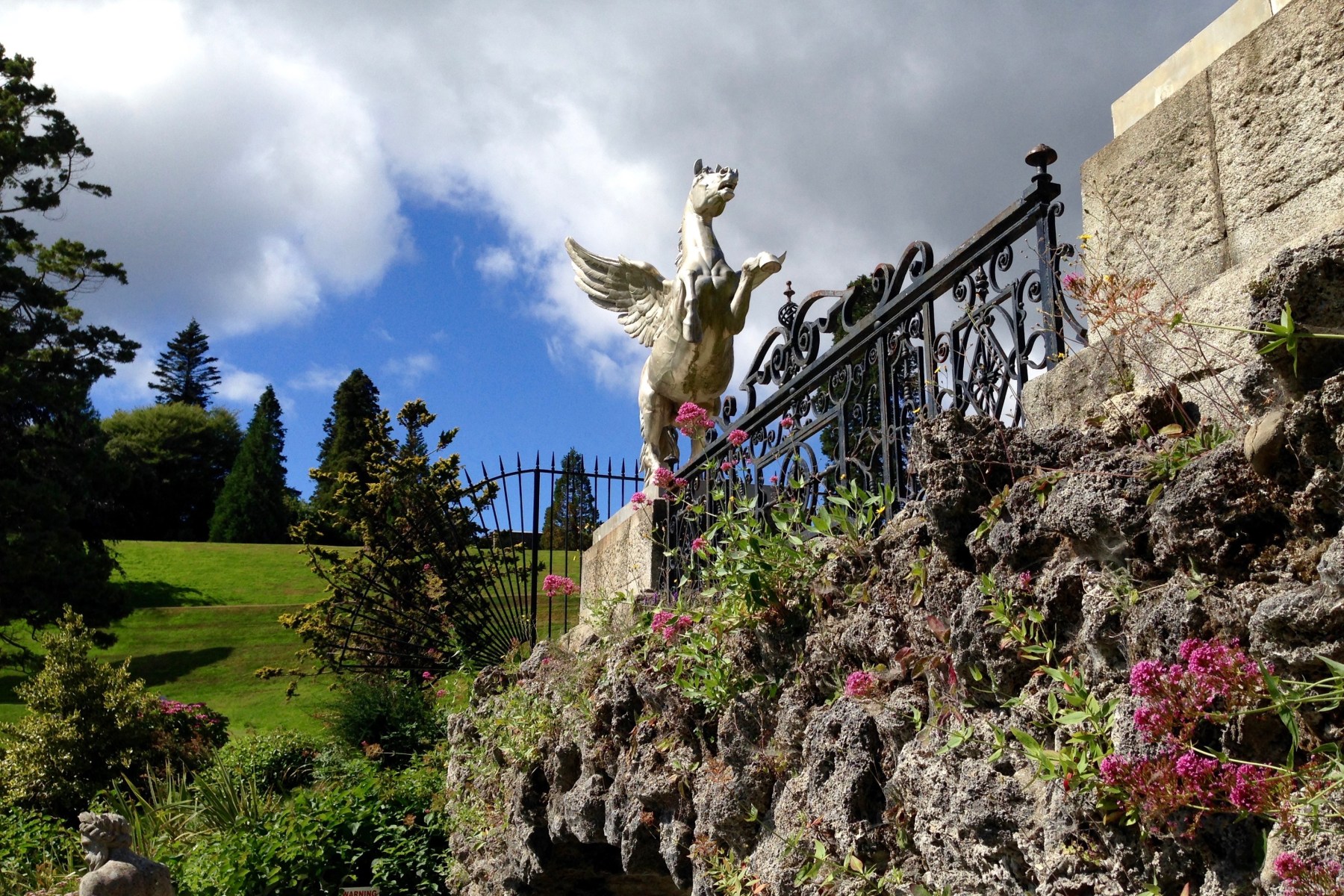 Pegasus, leading change, business transformation, team alignment, collaboration, strategy execution