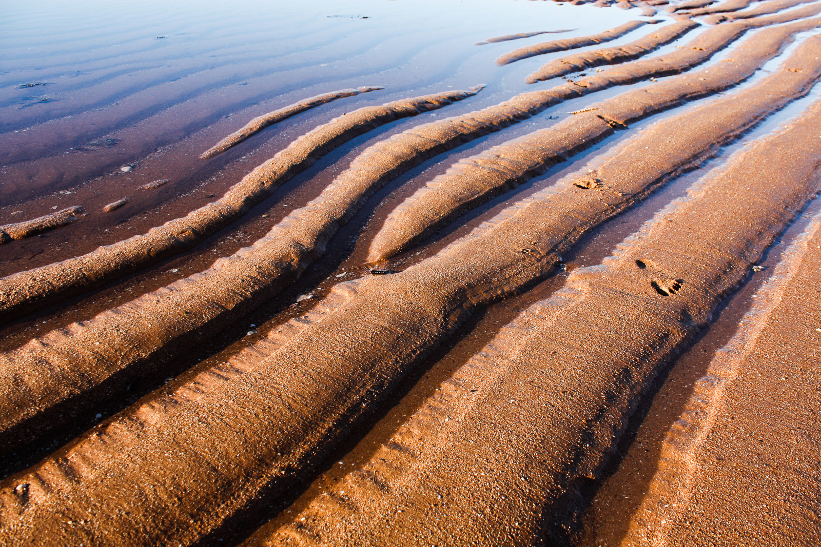 Tidal patterns, change, Michael Puett, Leadershipwatch