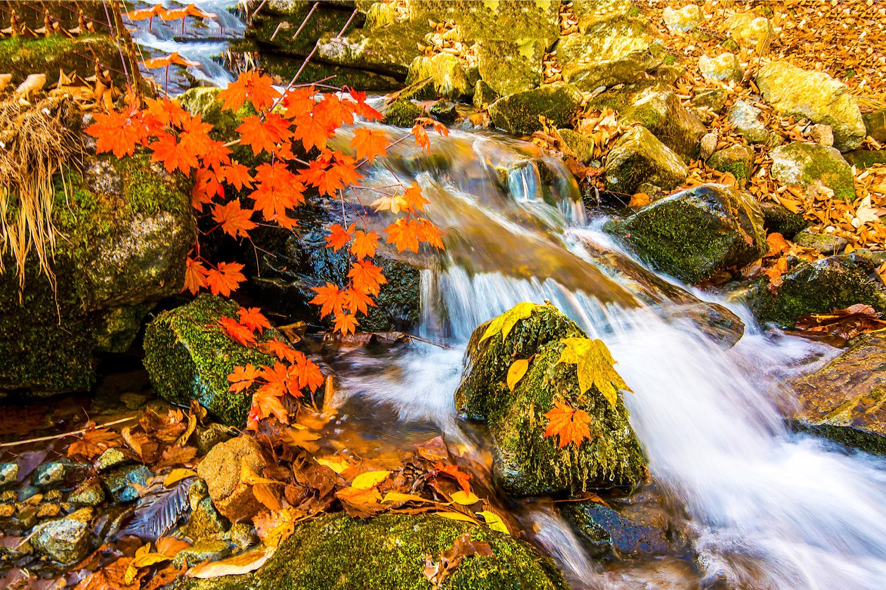 business transformation, leading change, leadership skills